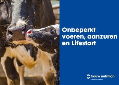 Onbeperkt voeren, aanzuren, LifeStart