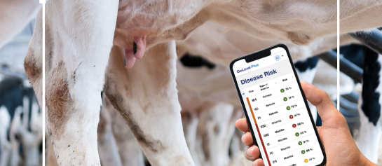 Ziekterisico Applicatie van DeLaval Plus