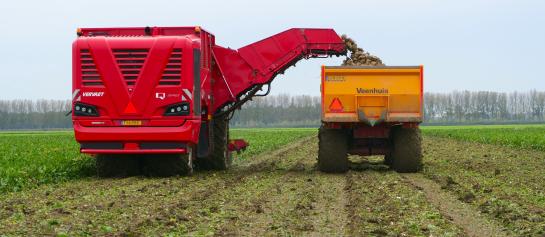 KWS Rooien Feedbeet