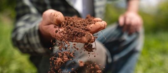 Ongetwijfeld hebt u al nagedacht over welke maïsrassen u dit jaar gaat zaaien. De gekozen maïsrassen kunnen echter alleen maximale opbrengsten behalen als de bodem ook in topconditie verkeert.