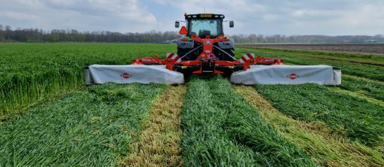 Oogst Snelle Lente Rogge