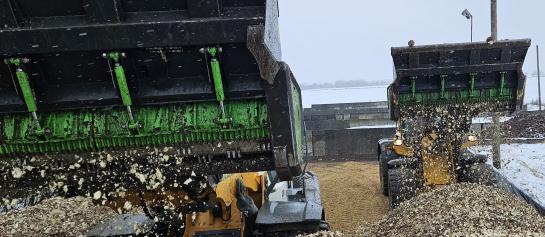KWS OnTop Silage Feedbeet