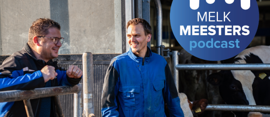 Melkveehouder Loonen met vertegenwoordiger voor het Batch Milking plein met koeien