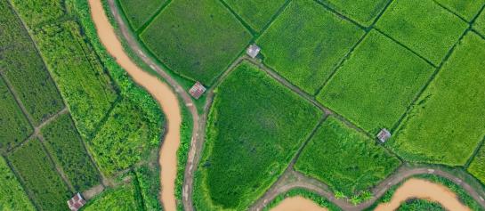 Bovenaanzicht landbouwgrond