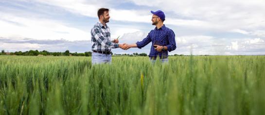 Handen schudden in veld