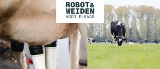 Robot & Weiden