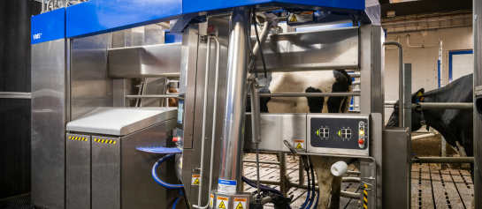 DeLaval VMS V300-melkrobot met Flow-Responsive Milking op Hamra Farm
