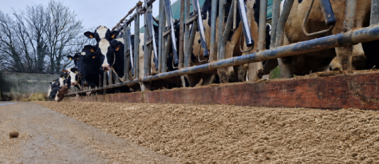 Haverschilpellets gemengd door het rantsoen