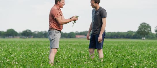 Ruwvoerspecialist Christiaan en melkveehouder Wout bekijken de kwaliteit van grasklaver