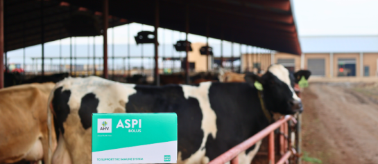 Aspi