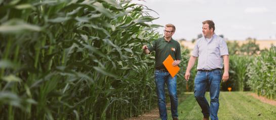 Geen veldbijeenkomsten