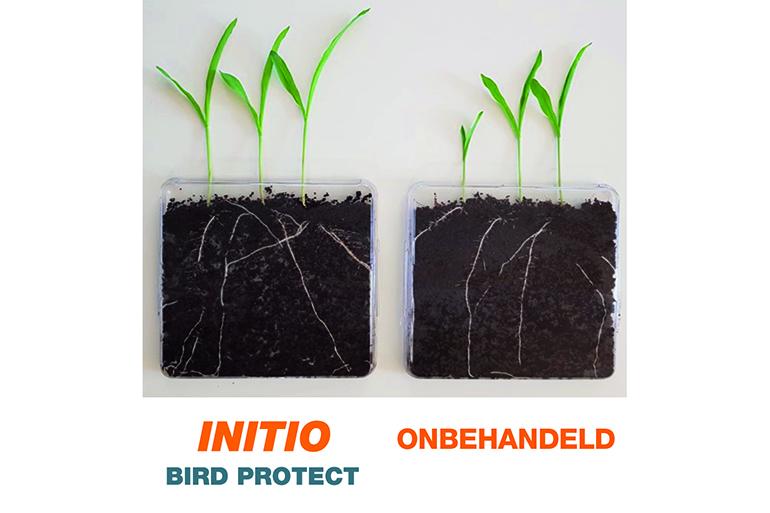 INITIO behandeld en onbehandeld