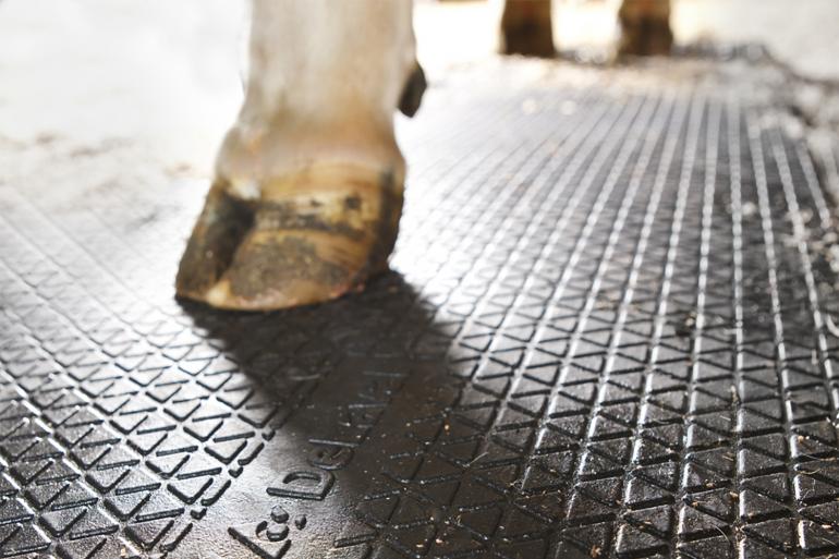 DeLaval looprubber