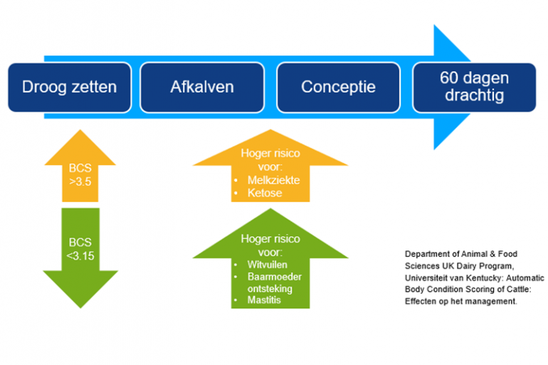 Overzicht effecten BCS op vruchtbaarheidsmanagement