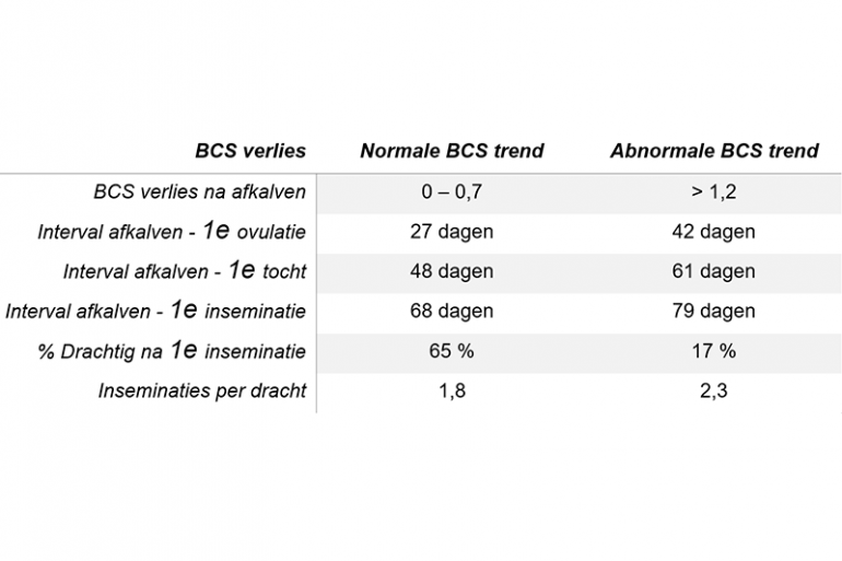 Effect BCS-verlies op vruchtbaarheidsresultaten