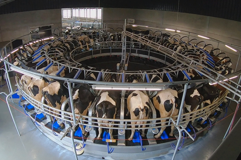 DeLaval E100-buitenmelker