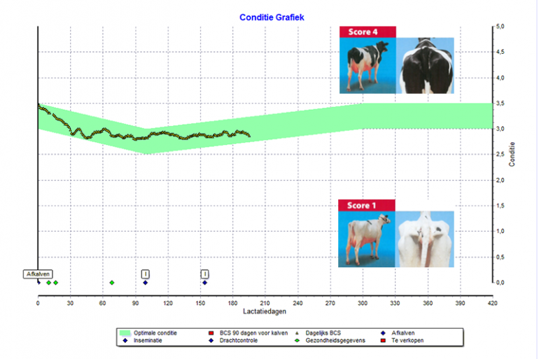 Figuur 1 – Body Condition Score