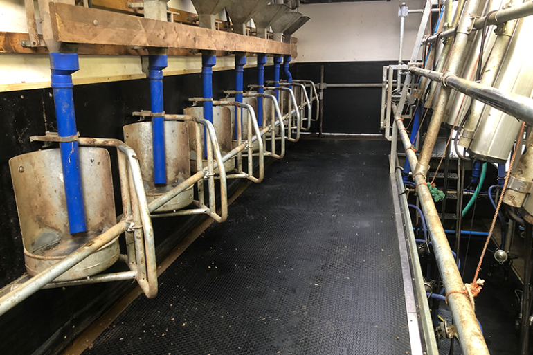 De gerenoveerde DeLaval Flex 40-melkstal van familie De Vegt