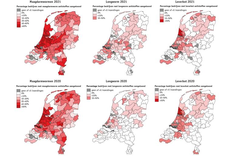 Worminfectie kaartjes