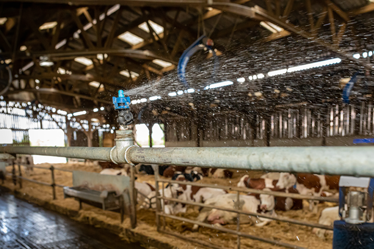 DeLaval Cow Cooling