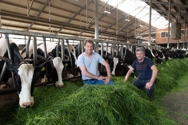 Maurice en Frank Konijn, Melkveebedrijf Konijn