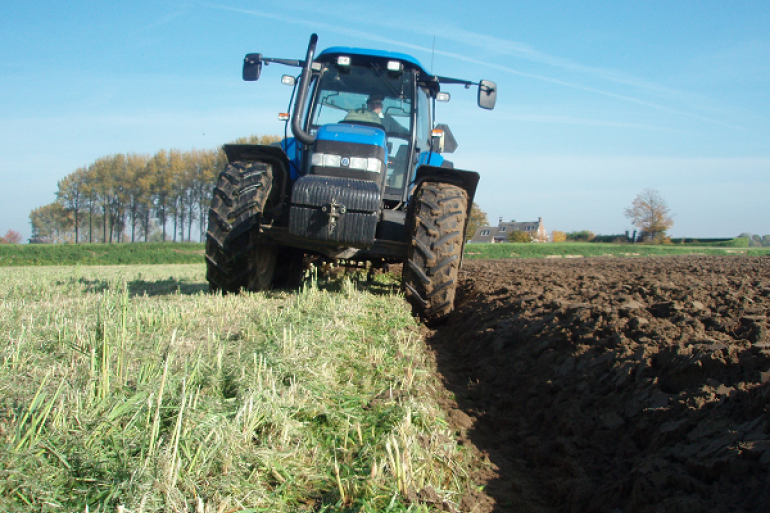 Grasland scheuren na droogte | Kies droogtetolerante voedergewassen | Veeteelt