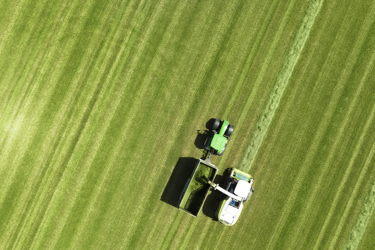 Melkopbrengst verhogen door beter verteerbaar gras?