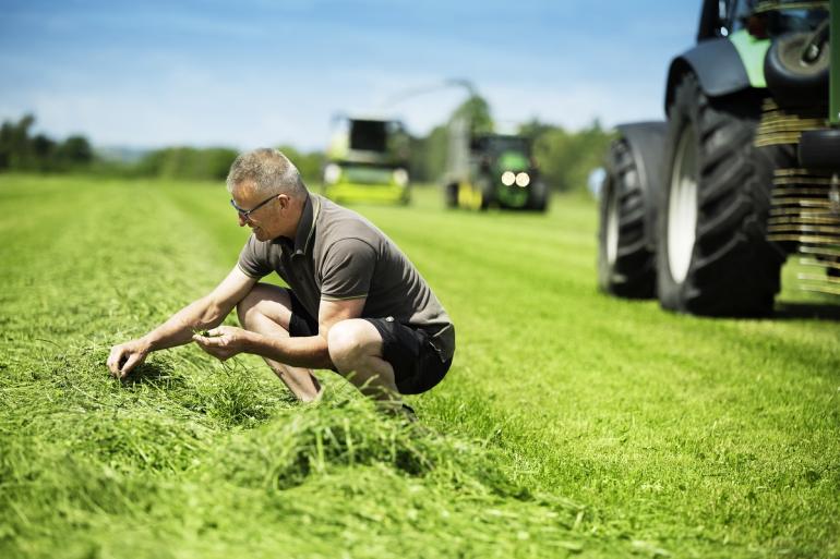 Melkproductie verhogen met beter verteerbaar gras