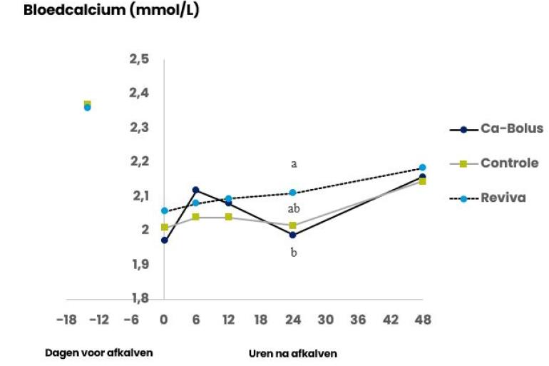 Figuur 1. Bloedcalciumniveaus rond afkalven bij drie groepen: de groep met Reviva (vrijwillige opname van calciumkoedrank), de groep met een bolus (orale calciumbolus) en de controlegroep.