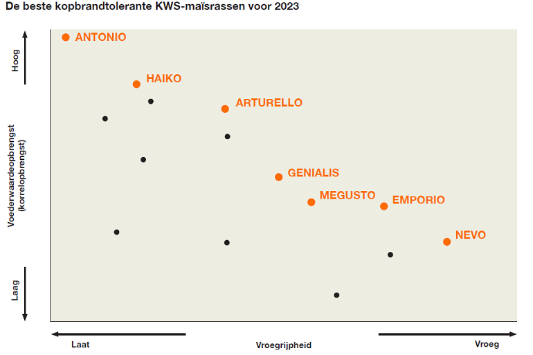 KWs op maat