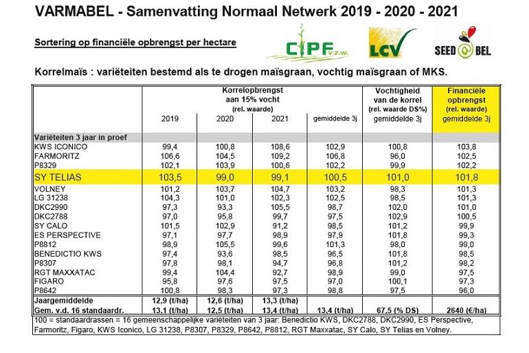 SY Telias dubbeldoelmais, een vaste waarde, zeer hoog in zetmeel en kopbrandtolerant