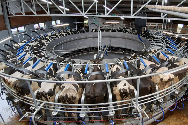 DeLaval-PR2250-draaistal bij gebroeders Langer