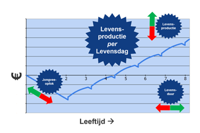 Grafiek. Levensproductie