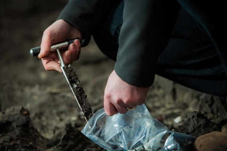 Juiste bodem-pH van groot belang voor een geslaagde maisteelt, maar waarom eigenlijk?