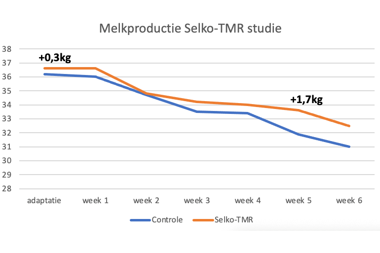 Melkproductie Selko TMR studie