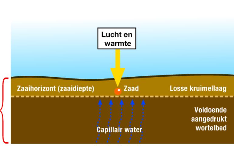 Zaaibedbereiding