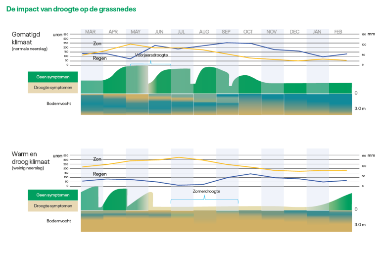 De impact van droogte op grassnedes | DLF