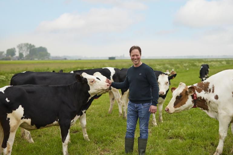 Theo Ammerlaan met koeien in de wei