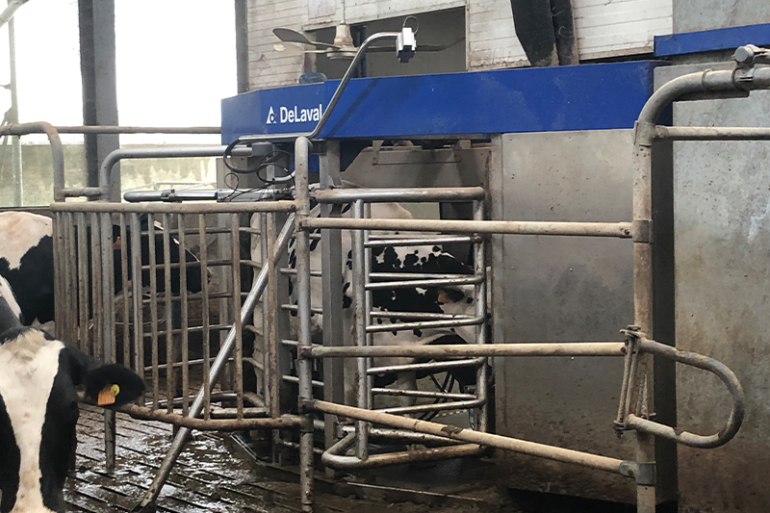 DeLaval VMS V300 melkrobot met BodyConditionScore-systeem