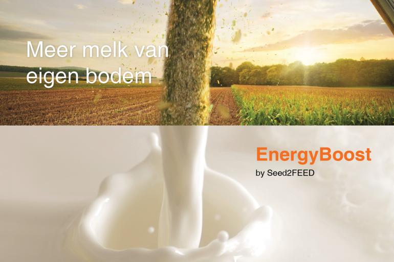 KWS EnergyBoost Maïs - Meer melk van eigen bodem