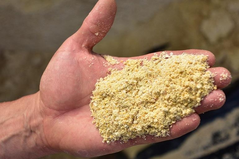 Hoe zit het met dent- en flintrassen en zijn beiden goed te gebruiken als snijmaïs? Wat zijn de sterke punten voor gebruik van dent versus flint en wat is dan de beste keuze?