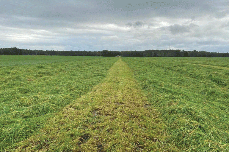 Inkuilen-eerste-grassnede-voorlopig-flinke-uitdaging