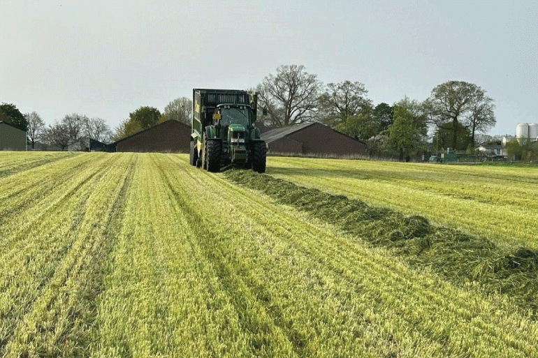 Inkuilmoment-eerste-snede-sterk-afhankelijk-van-bemesting-draagkracht-regio