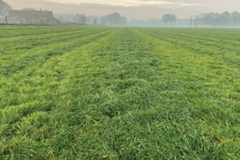 Inkuilen-van-herfstgras-is-een-uitdaging