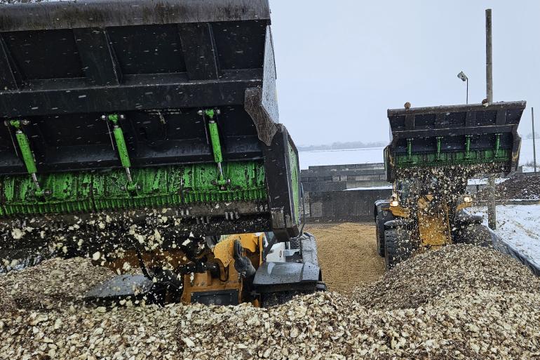 KWS OnTop Silage Feedbeet