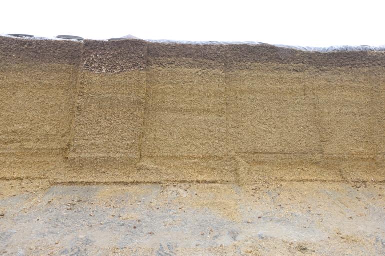OnTop Silage