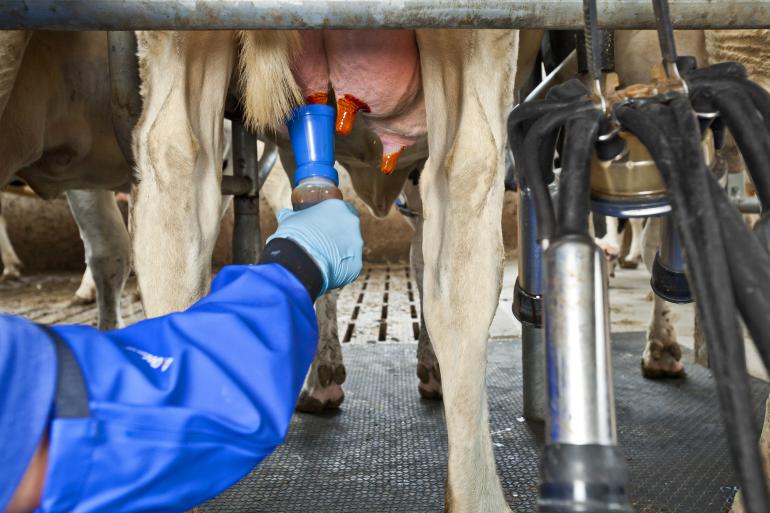 DeLaval IodoFence dip