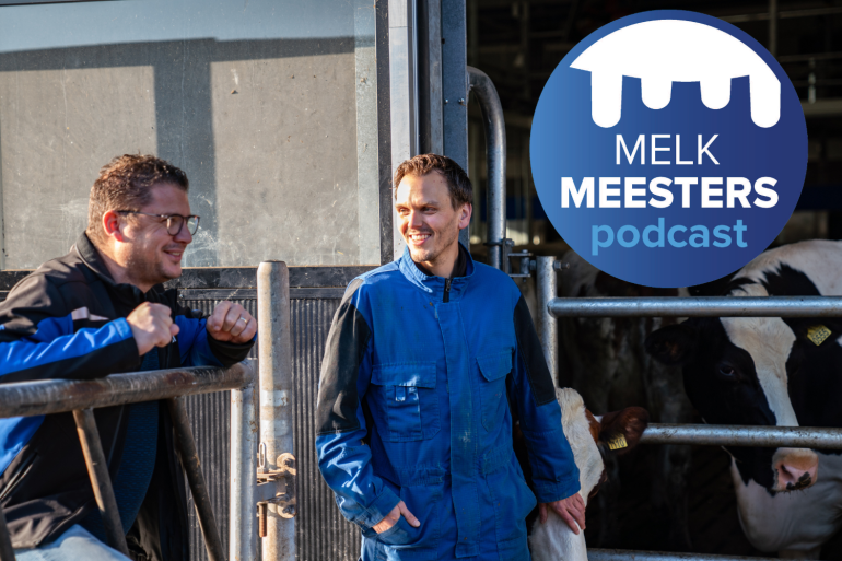 Melkveehouder Loonen met vertegenwoordiger voor het Batch Milking plein met koeien