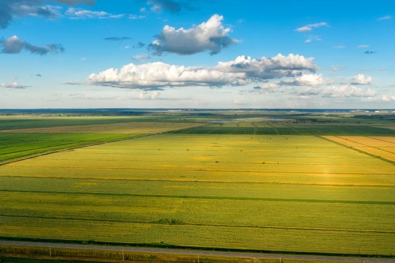 foto weilanden bovenaanzicht