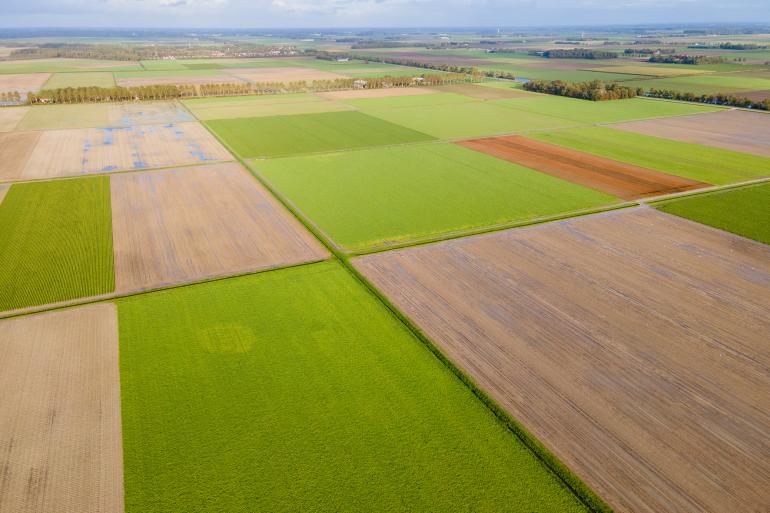 grasland percelen